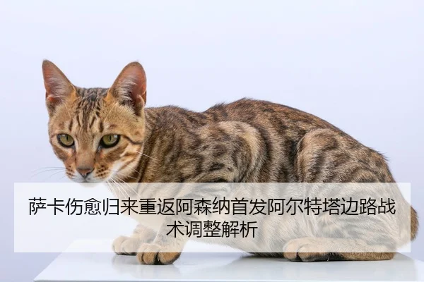 萨卡伤愈归来重返阿森纳首发阿尔特塔边路战术调整解析