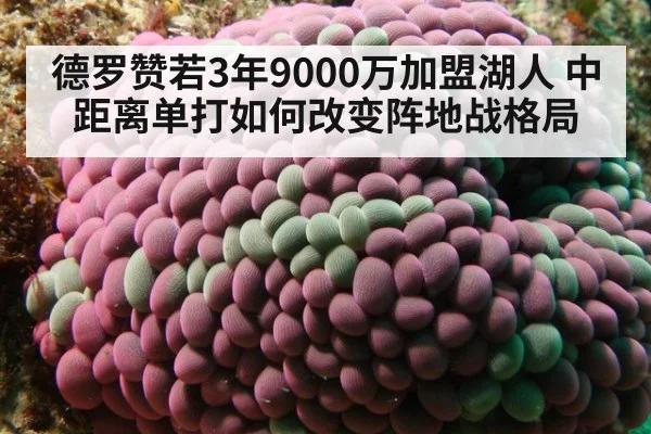 德罗赞若3年9000万加盟湖人 中距离单打如何改变阵地战格局