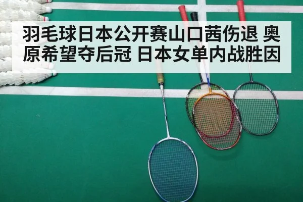 羽毛球日本公开赛山口茜伤退 奥原希望夺后冠 日本女单内战胜因