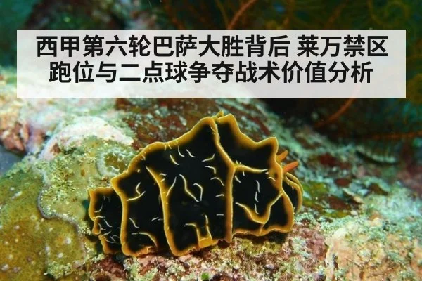 西甲第六轮巴萨大胜背后 莱万禁区跑位与二点球争夺战术价值分析